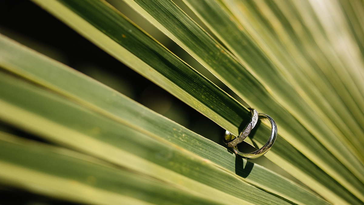 Eheringe liegen auf einem grünen Palmenblatt, Detailaufnahme im Greenery-Stil.